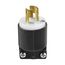 Safety Grip Locking Plug, #16-12 Awg 20A, 250V, Safety Grip, L2-20, 2-Pole, 2-Wire, 0.38 To 1 In, CWL220P-6