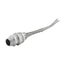 Strain Relief Deluxe Cord Grip, Straight, 0.50-0.63" Cord Dia. 3/4" Fitting, Male Mesh Body, DC200500