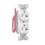 Ezlink Modular Duplex Receptacle, 20 A, 125 Vac, 60 Hz, Half Controlled, 3-Wire, White, EZ5362CHW