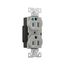 Ezlink Modular Duplex Hg Receptacle, 15 A, 125 Vac, 60 Hz, Gray, Three-Wire, EZ8200GY