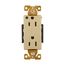 Ezlink Modular Decorator Hg Receptacle, 15 A, 125 Vac, 60 Hz, Ivory, Three-Wire, EZ8262V