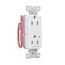 Ezlink Modular Decorator Receptacle, 15A, 125 Vac, Tamper-Resistant, Half Controlled, White, EZTR6262CHW