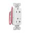 Ezlink Modular Decorator Receptacle, 20A, 125 Vac, Tamper-Resistant, Half Controlled, White, EZTR6362CHW