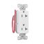 Ezlink Modular Decorator Receptacle, 20 A, 125 Vac, Tamper-Resistant, Split Control, White, EZTR6362SCW