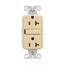 Gfci-20Amp-Lited (Cto Dup Pfat 5-20R), GF20V