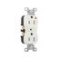 Arrow Hart Heavy-Duty Industrial Duplex Receptacle, #14-10 Awg 15A 125V, Duplex, ., IG5262W
