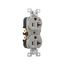 Arrow Hart Heavy-Duty Industrial Duplex Receptacle, #14-10 Awg 20A 125V, Gray Face Base, Duplex, IG5362GY