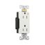 Arrow Hart Industrial Duplex Receptacle, #14-10 Awg 15A 125V, Duplex, IG6262W