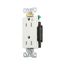 Arrow Hart Industrial Duplex Receptacle, #14-10 Awg 15A 125V, Duplex, IG6262W