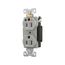 Arrow Hart Duplex Receptacle, #14-10 Awg 15A, Healthcare 125V, Gray Face Base, Duplex, IG8200GY