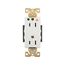 Arrow Hart Duplex Receptacle, #14-10 Awg 15A, Healthcare 125V, Duplex, IG8262W