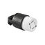Arrow Hart Ultra Grip Locking Connector, #18-10 Awg, 20A, 250V, L15-20, 3-Pole, 4-Wire, L1520C