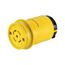 Severe Duty Locking Connector, #18-10 Awg 30A, 347/600V, Severe Duty, L23-30, 4-Pole, 5-Wire, L2330CY