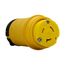 Severe Duty Locking Connector, #18-10 Awg 20A, 480V, Severe Duty, L8-20, 2-Pole 3-Wire, L820CY