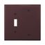 Combination Wallplate, Brown, Toggle, Blank Cutout, Polycarbonate, Two- Gang, Mid-Size, PJ113B