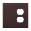 Combination Wallplate, Brown, Duplex Receptacle, Blank Cutout, Polycarbonate, 2- Gang, Mid-Size, PJ138B