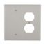 Combination Wallplate, Gray, Duplex Receptacle, Blank Cutout, Polycarbonate, 2- Gang, Mid-Size, PJ138GY