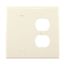 Combination Wallplate, Lt. Almond, Duplex Receptacle, Blank Cutout, Polycarbonate, 2-Gang, PJ138LA