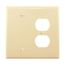 Combination Wallplate, Ivory, Duplex Receptacle, Blank Cutout, Polycarbonate, 2- Gang, Mid-Size, PJ138V