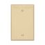 Blank Wallplate, Box Mount, Ivory, Blank Cutout, Polycarbonate, Single- Gang, Mid-Size, PJ13V