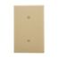Blank Wallplate, Strap Mount, Ivory, Blank Cutout, Polycarbonate, Single- Gang, Mid-Size, PJ14V