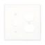 Combination Wallplate, White, Toggle, Duplex Receptacle Cutout, Polycarbonate, 2- Gang, Mid-Size, PJ18W
