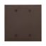 Blank Wallplate, Box Mount, Brown, Blank Cutout, Polycarbonate, Two- Gang, Mid-Size, PJ23B