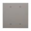 Blank Wallplate, Box Mount, Gray, Blank Cutout, Polycarbonate, Two- Gang, Mid-Size, PJ23GY