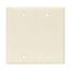 Blank Wallplate, Box Mount, Lt. Almond, Blank Cutout, Polycarbonate, Two- Gang, Mid-Size, PJ23LA