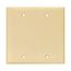Blank Wallplate, Box Mount, Ivory, Blank Cutout, Polycarbonate, Two- Gang, Mid-Size, PJ23V