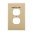 Duplex Receptacle Wallplate, Premarked "Computer", Ivory, Duplex Receptacle Cutout, 1-Gang, PJ8COV
