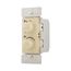 Combo Dimmer & Fan Speed Control, Power Failure Memory, 4-Speed, #16 Awg 1.5A, 120V, Ivory, RDC15-V