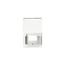 Non-Metallic Gfci Or Decorator Cover, Self-Closing, Surface Mount, White, Wet, 1-Gang, Vertical, S2966W-SP