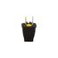 Straight Blade Plug, #16 Awg 15A 125V, Black, Impact-Resistant 1-15P, 2-Pole 2-Wire w/ Cord Clip, SA940
