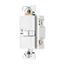 Blankface Gfci, Audible Alarm, Self-Test, #14 -10 Awg 20A 125V, Gfci, Blankface, 2-Pole 3-Wire, SGFDA20W