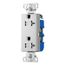 Decorator Duplex Receptacle, Silver Granite A05, TR1307SG-SP-L