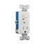 Commercial Combo Switch, Auto-Grnd, Neon Pilot, #14-#12 Awg 15A 120V Switch, 125V Recept, White, TR274W