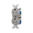 Residential Duplex Receptacle, #14-10 Awg 20A 125V, SideWire, Gray, Impact-Resistant, Pvc Body, TR370GY-BOX