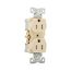 Arrow Hart Heavy-Duty Industrial Duplex Receptacle, #14-10 Awg 15A 125V, Ivory, TR5262V