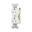 Arrow Hart Heavy-Duty Industrial Duplex Receptacle, #14-10 Awg 15A 125V, TR5262W