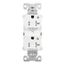 Arrow Hart Heavy Duty Industrial Duplex Receptacle, Dual Control, #14-10 Awg 20A 125V, 2-Pole,, TR5362CDW