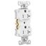 Arrow Hart Heavy Duty Industrial Duplex Receptacle, Dual Control, #14-10 Awg 20A 125V, 2-Pole,, TR5362CDW