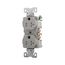 Arrow Hart Heavy-Duty Industrial Duplex Receptacle, #14-10 Awg 20A 125V, Gray, TR5362GY