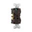 Arrow Hart Heavy-Duty Duplex Receptacle, #14-10 Awg 20A, 125V, Brown, Pvc Body, 5-20R, Duplex, TR8300B