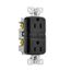 Slim Afgf Receptacle, Self-Test, #14 -10 Awg 15A 125V, Afgf, Black, 2-Pole 3-Wire, TRAG15BK