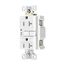 Gfci Receptacle, Nightlight, Self-Test, #14 -10 Awg 20A 125V, Night Light, 2-Pole 3-Wire, TRSGFNL20W