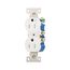 Residential Duplex Receptacle, #14-10 Awg 15A 125V, SideAnd Push, Gray, Weather Resistant, TWR270GY