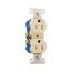 Residential Duplex Receptacle, #14-10 Awg 15A 125V, SideAnd Push, Ivory, Weather Resistant, TWR270V