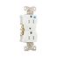 Commercial Duplex Receptacle, #14-10 Awg 15A 125V, Back & Side, Weather Resistant, TWRBR15WBXSP