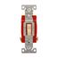 Toggle Switch, Ivory, Screw, Flush, 2-Pole, Dual Pole, Brass, 120/277 Vac, #14 To10 Awg, WD1222V